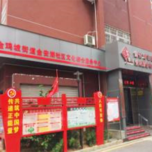 浔阳区金安湖街道办事处